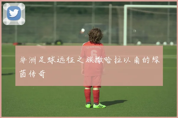 非洲足球远征之旅撒哈拉以南的绿茵传奇